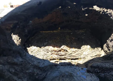 2024 Volkswagen Tiguan z USA, uszkodzony, nr VIN 3VV3B7AX8RM157105